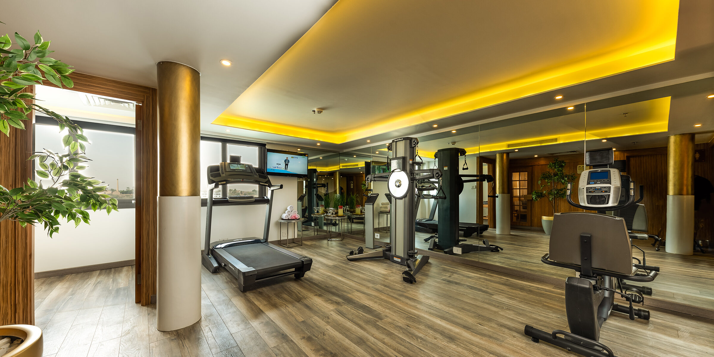 Ms Tulip Gym and Sauna